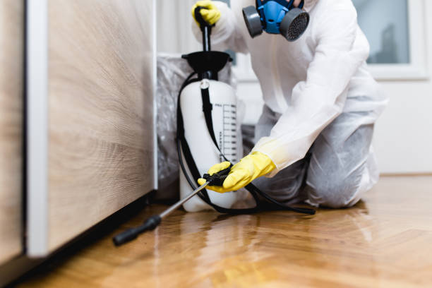 Best Commercial Pest Control Services  in Soledad, CA