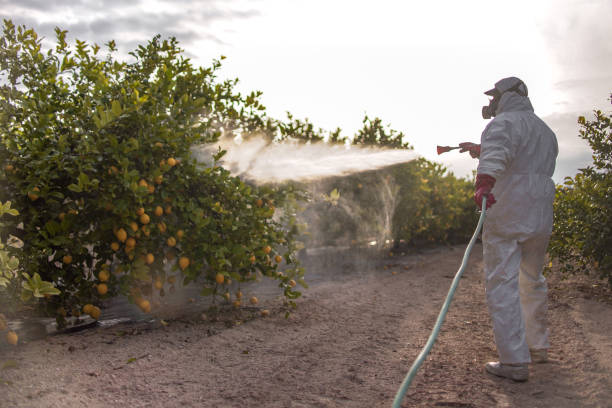 Best Pest Control Near Me  in Soledad, CA