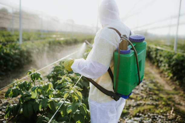 Best Flea Control Services  in Soledad, CA